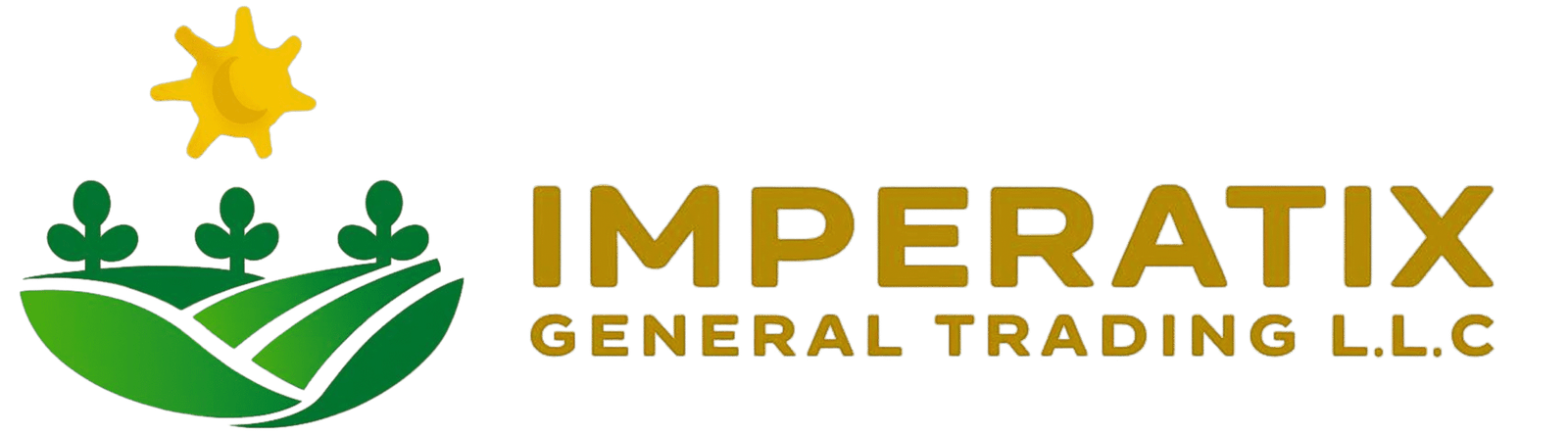 IMPERATIX LOGO 5625X1563