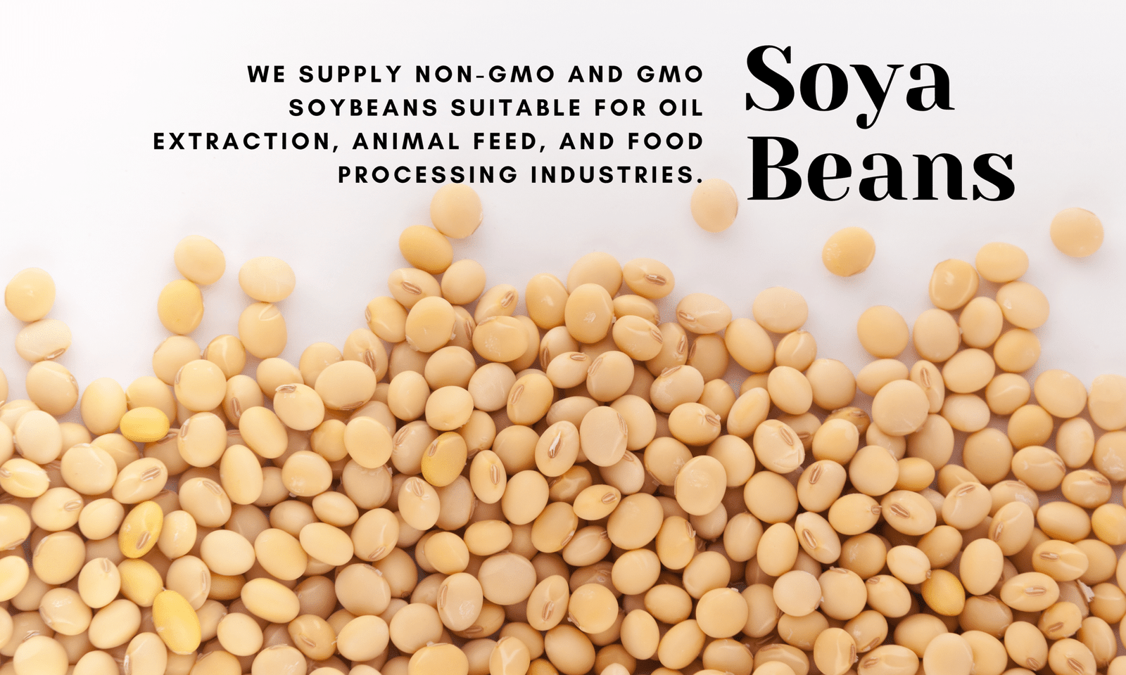 soya beans